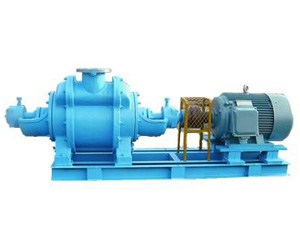 Water Ring Vacuum Pump