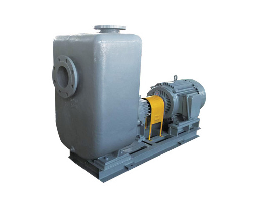 High Energy Efficiency Horizontal Self-priming Pump