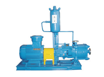 Small-flow Pump